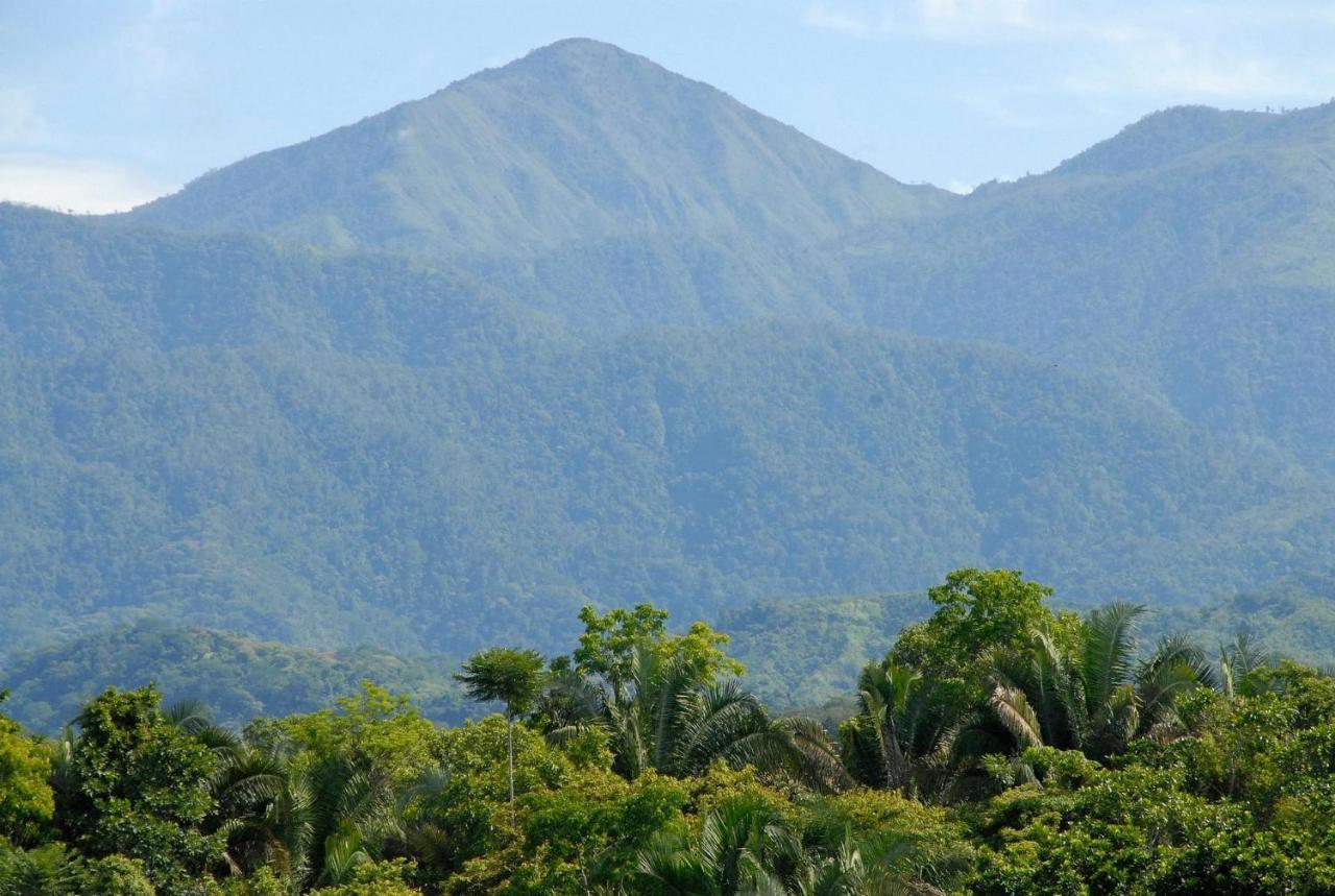 Villa Kiskadee - Beautiful Mountain Views With Private Pool Quepos Exterior photo